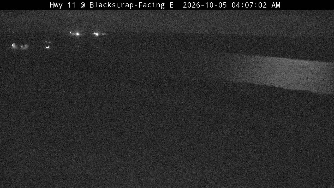 Blackstrap Image